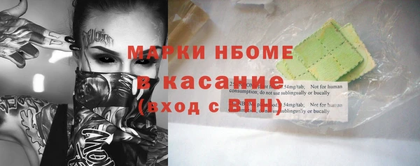 сатива Лабытнанги