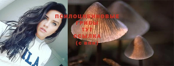 PSILOCYBIN Лихославль