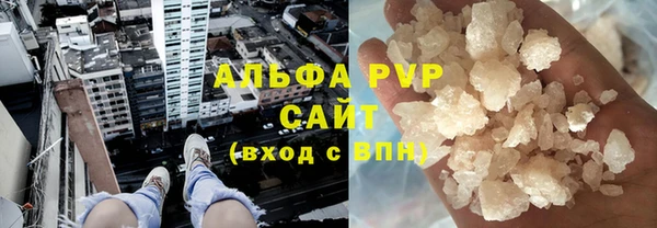 PSILOCYBIN Лихославль